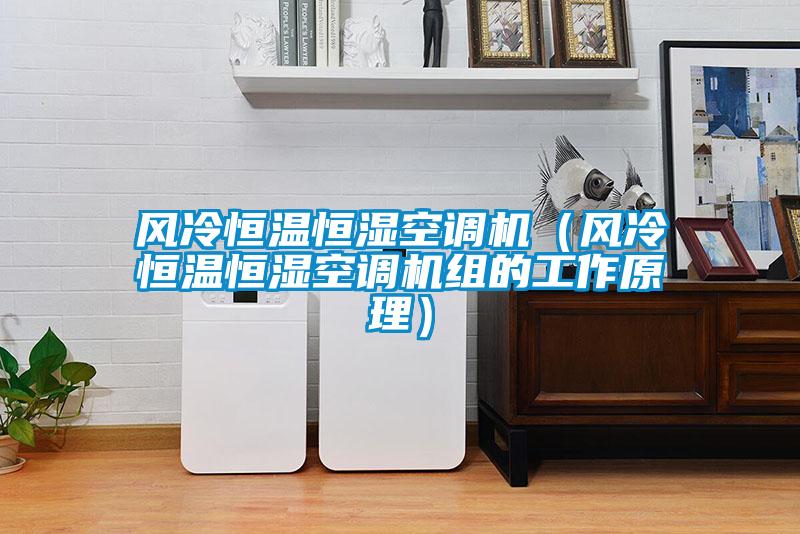 欧美黄色性爱视频网站 风冷恒温恒湿空调机（风冷恒温恒湿空调机组的工作原理）