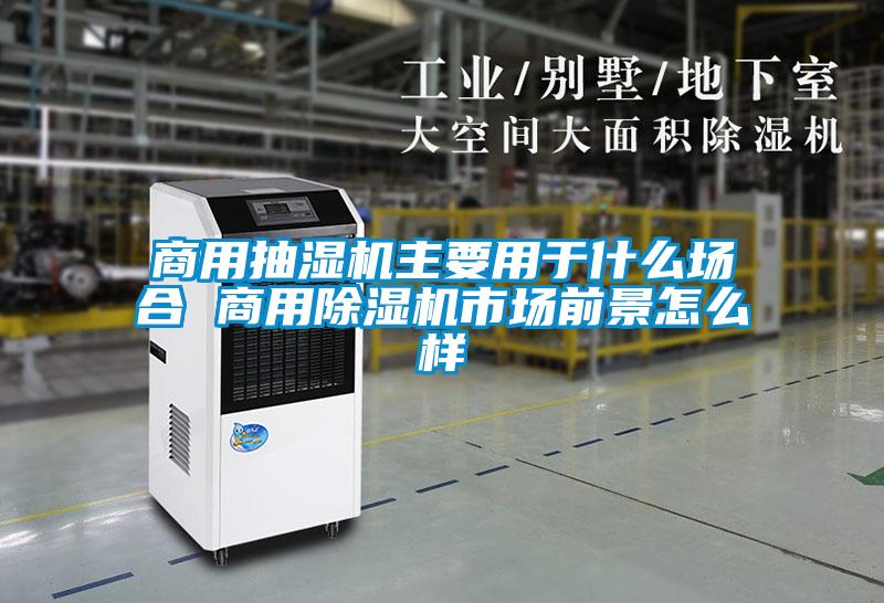 欧美黄色性爱视频网站 商用抽湿机主要用于什么场合 商用除湿机市场前景怎么样