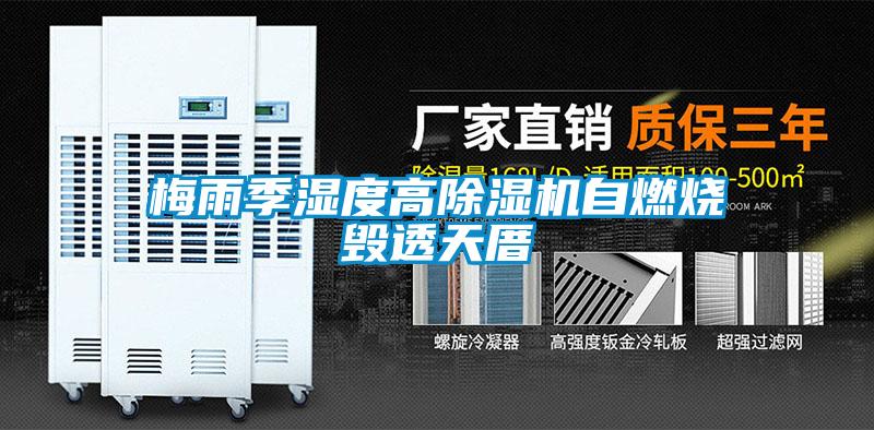 欧美黄色性爱视频网站 梅雨季湿度高除湿机自燃烧毁透天厝