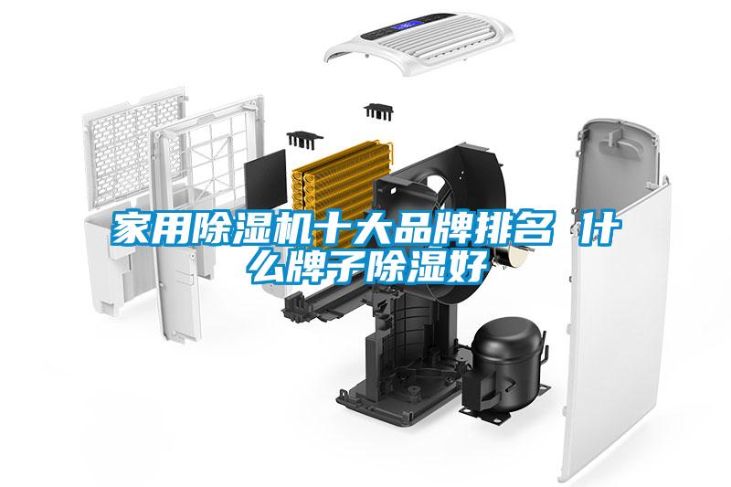 欧美黄色电影在线播放 家用除湿机十大品牌排名 什么牌子除湿好