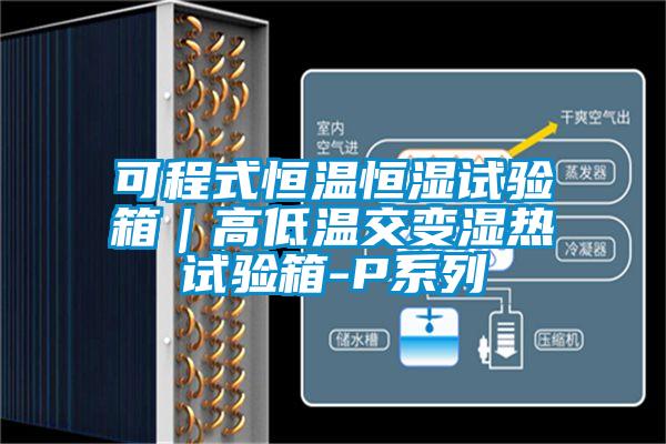 欧美黄色性爱视频网站 可程式恒温恒湿试验箱｜高低温交变湿热试验箱-P系列