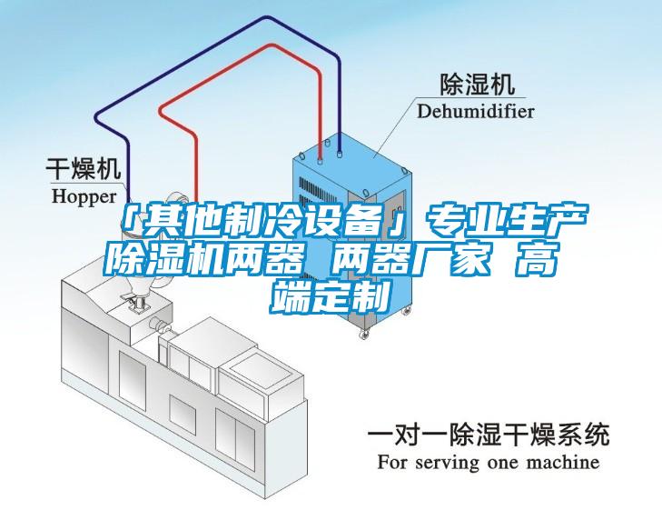 欧美成色手机在线观看 「其他制冷设备」专业生产除湿机两器 两器厂家 高端定制