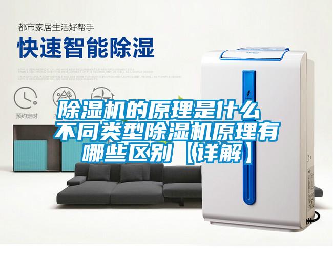 欧美黄色性爱视频网站 除湿机的原理是什么 不同类型除湿机原理有哪些区别【详解】
