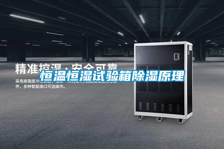 欧美黄色电影在线播放 恒温恒湿试验箱除湿原理