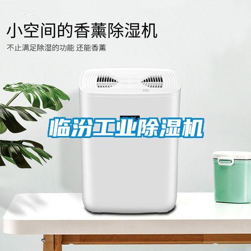 欧美黄色性爱视频网站 临汾工业除湿机