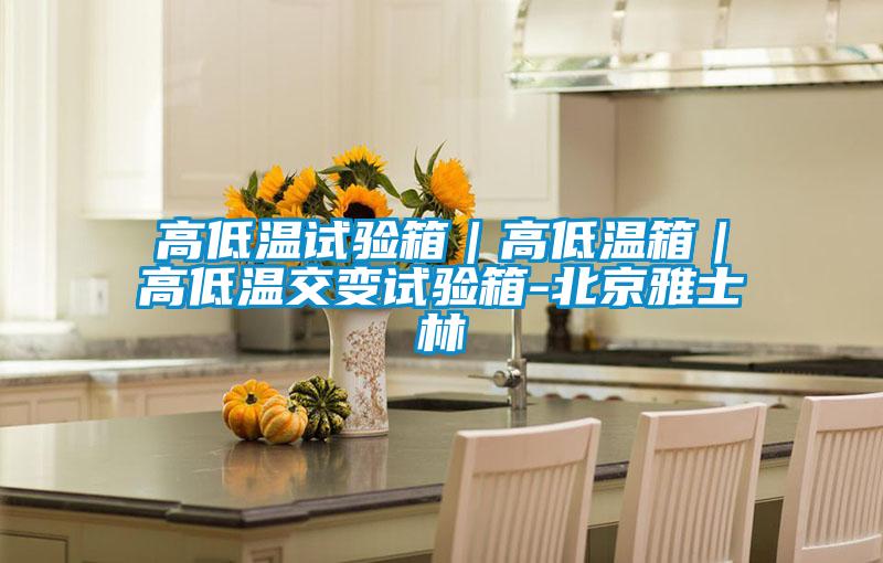 欧美黄色电影在线播放 高低温试验箱｜高低温箱｜高低温交变试验箱-北京雅士林