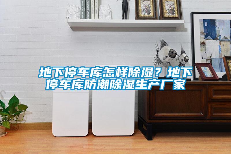 欧美黄色性爱视频网站 地下停车库怎样除湿？地下停车库防潮除湿生产厂家