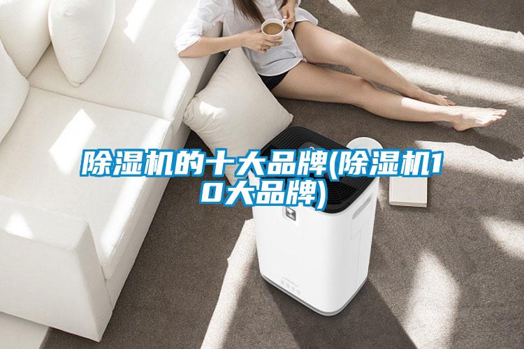 欧美黄色性爱视频网站 除湿机的十大品牌(除湿机10大品牌)