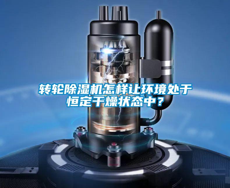 欧美黄色电影在线播放 转轮除湿机怎样让环境处于恒定干燥状态中？