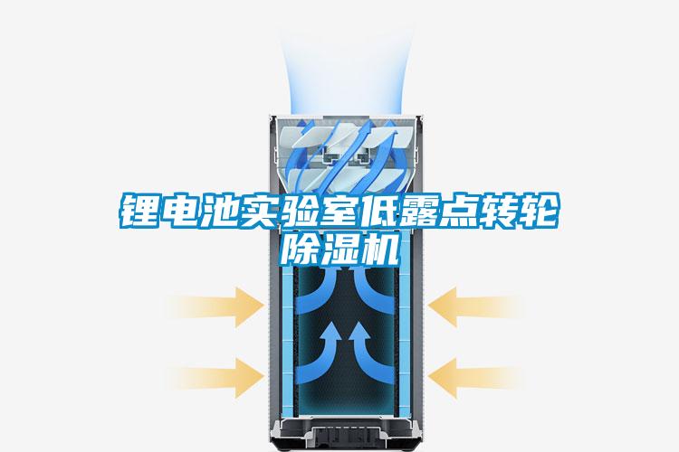 欧美黄色性爱视频网站 锂电池实验室低露点转轮除湿机