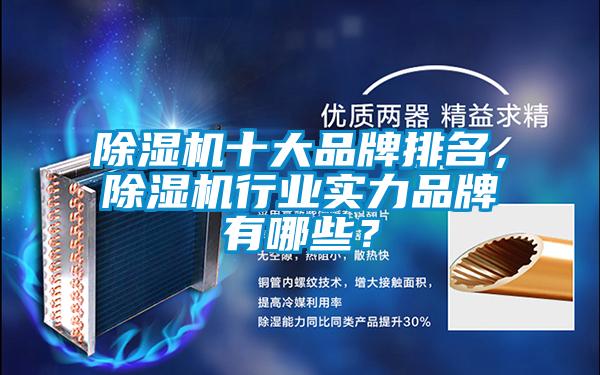 欧美黄色电影在线播放 除湿机十大品牌排名，除湿机行业实力品牌有哪些？