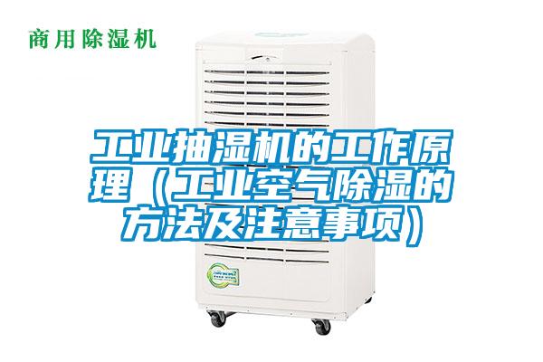欧美黄色性爱视频网站 工业抽湿机的工作原理（工业空气除湿的方法及注意事项）