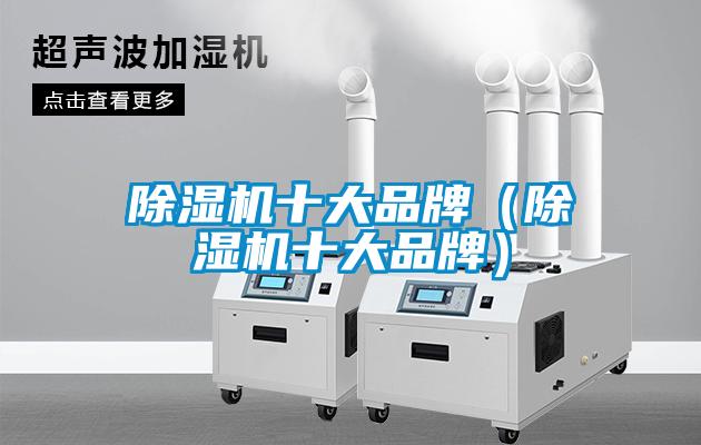欧美黄色电影在线播放 除湿机十大品牌（除湿机十大品牌）