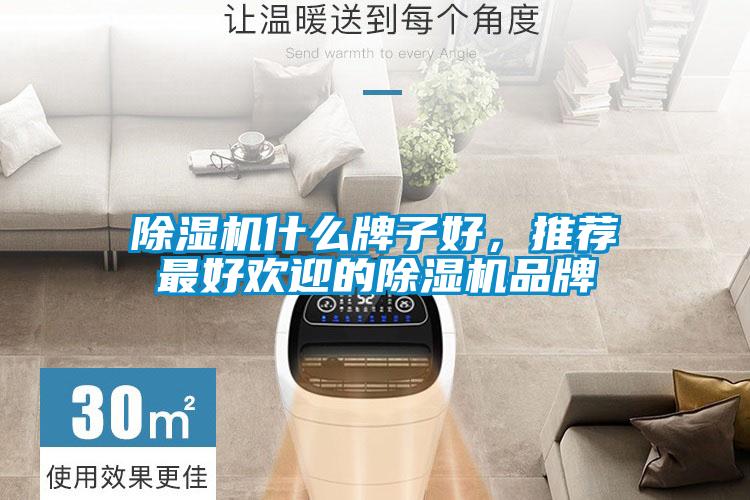欧美黄色性爱视频网站 除湿机什么牌子好，推荐最好欢迎的除湿机品牌