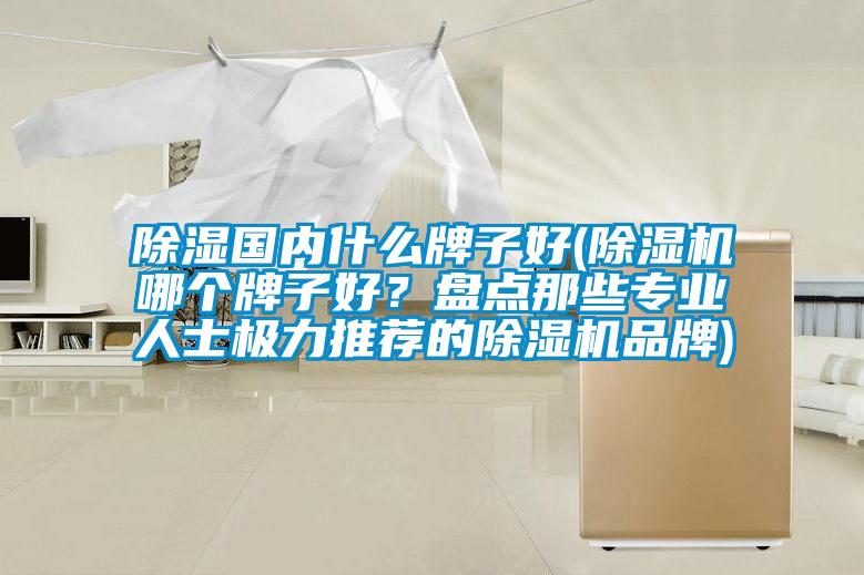 除湿国内什么牌子好(除湿机哪个牌子好？盘点那些专业人士极力推荐的除湿机品牌)