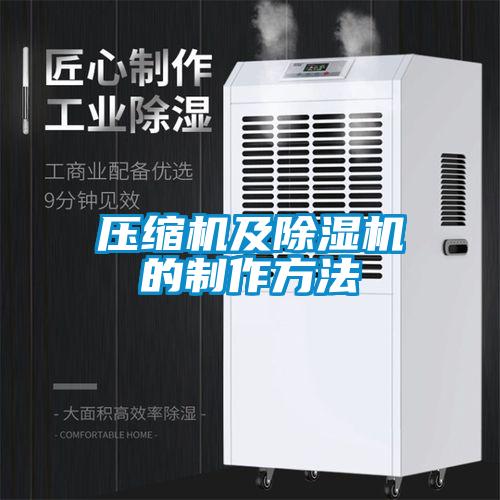欧美黄色性爱视频网站 压缩机及除湿机的制作方法
