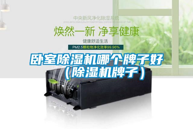 欧美黄色性爱视频网站 卧室除湿机哪个牌子好（除湿机牌子）