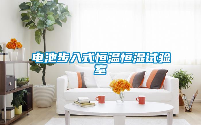 欧美黄色性爱视频网站 电池步入式恒温恒湿试验室