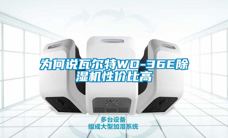 欧美黄色性爱视频网站 为何说瓦尔特WD-36E除湿机性价比高