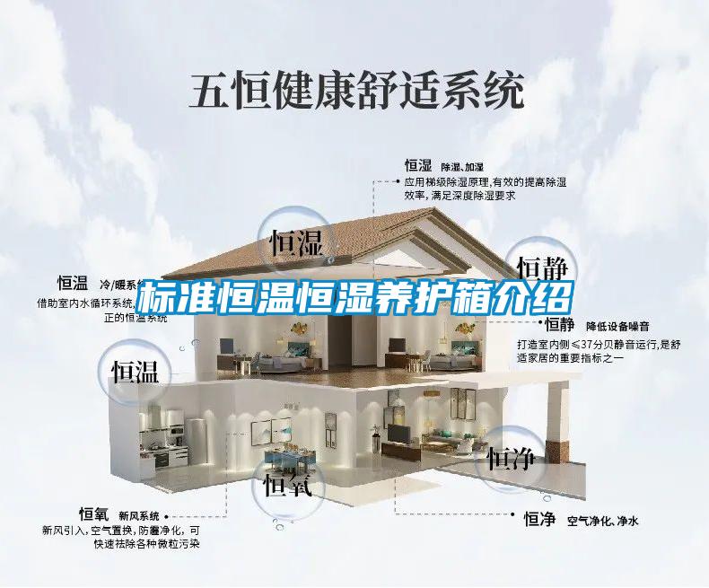欧美黄色电影在线播放 标准恒温恒湿养护箱介绍