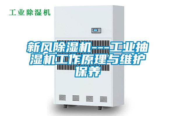 欧美黄色电影在线播放 新风除湿机---工业抽湿机工作原理与维护保养