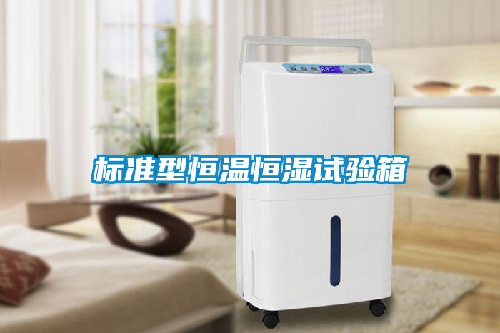 欧美黄色电影在线播放 标准型恒温恒湿试验箱