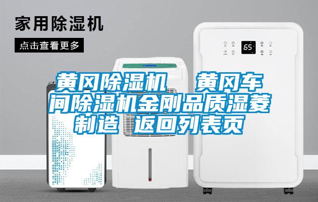 欧美黄色电影在线播放 黄冈除湿机  黄冈车间除湿机金刚品质湿菱制造 返回列表页