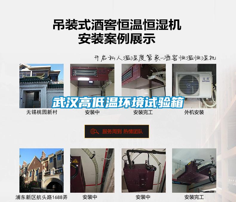 欧美成色手机在线观看 武汉高低温环境试验箱
