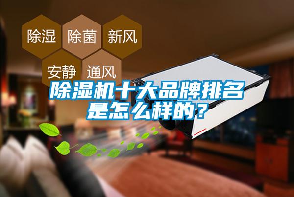 欧美黄色电影在线播放 除湿机十大品牌排名是怎么样的？