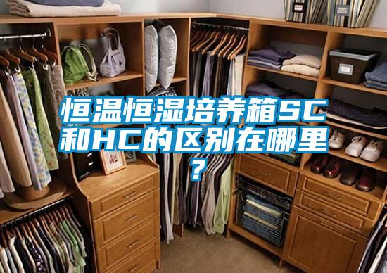 欧美黄色电影在线播放 恒温恒湿培养箱SC和HC的区别在哪里？