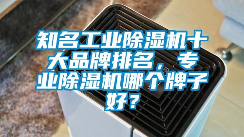 欧美黄色电影在线播放 知名工业除湿机十大品牌排名，专业除湿机哪个牌子好？