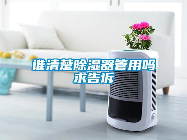 欧美黄色电影在线播放 谁清楚除湿器管用吗求告诉