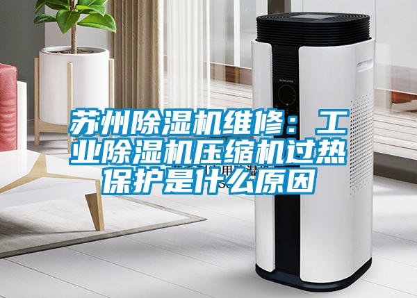 欧美黄色性爱视频网站 苏州除湿机维修：工业除湿机压缩机过热保护是什么原因