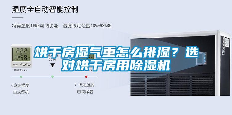 欧美成色手机在线观看 烘干房湿气重怎么排湿？选对烘干房用除湿机
