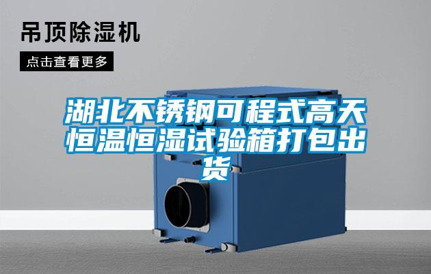 欧美成色手机在线观看 湖北不锈钢可程式高天恒温恒湿试验箱打包出货