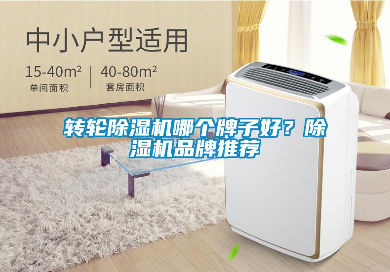 欧美成色手机在线观看 转轮除湿机哪个牌子好？除湿机品牌推荐