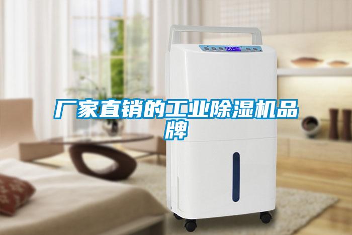 欧美成色手机在线观看 厂家直销的工业除湿机品牌