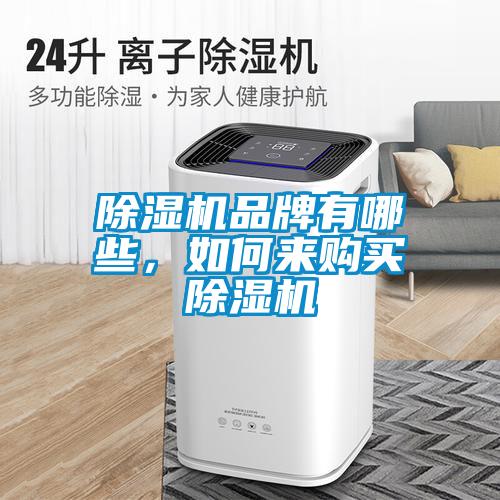 欧美黄色性爱视频网站 除湿机品牌有哪些，如何来购买除湿机
