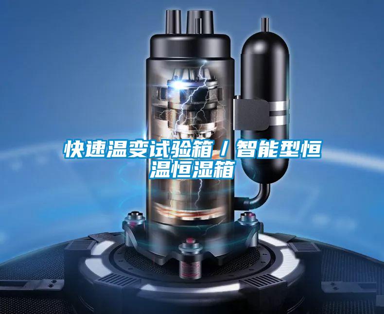 欧美黄色电影在线播放 快速温变试验箱／智能型恒温恒湿箱