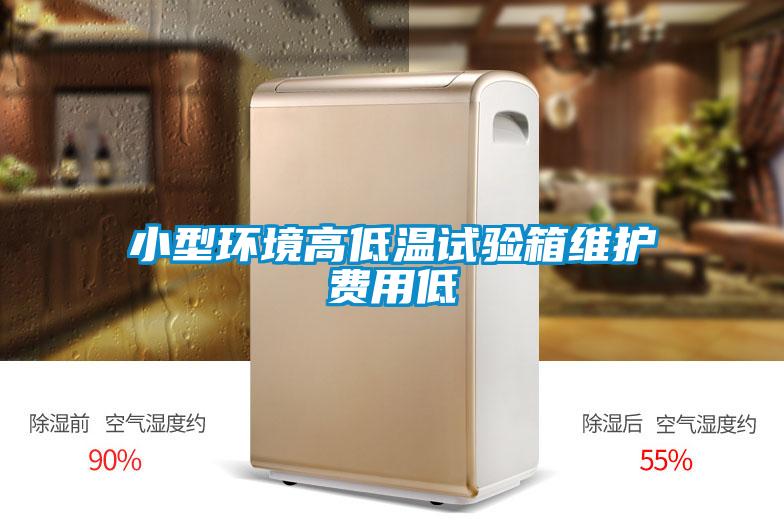 欧美成色手机在线观看 小型环境高低温试验箱维护费用低