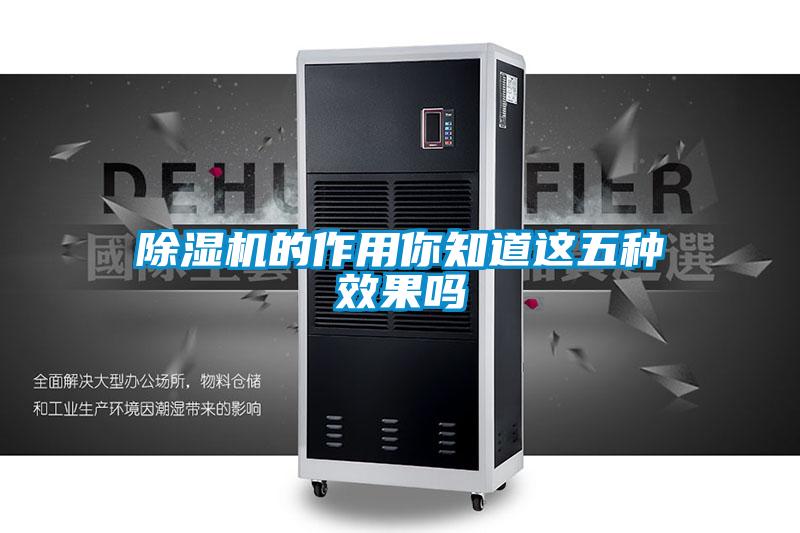 欧美黄色性爱视频网站 除湿机的作用你知道这五种效果吗