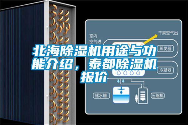 欧美黄色性爱视频网站 北海除湿机用途与功能介绍，泰都除湿机报价