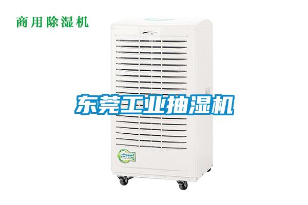 欧美黄色性爱视频网站 东莞工业抽湿机