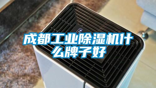 欧美黄色电影在线播放 成都工业除湿机什么牌子好