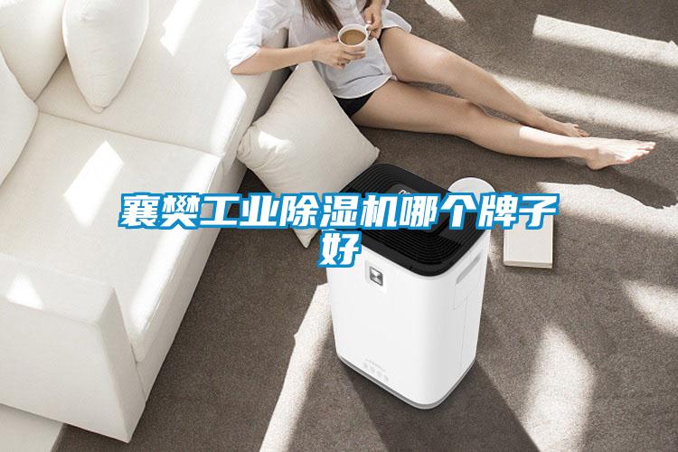 欧美成色手机在线观看 襄樊工业除湿机哪个牌子好