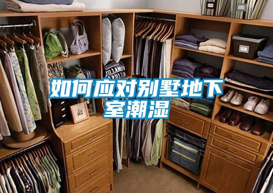 欧美黄色性爱视频网站 如何应对别墅地下室潮湿