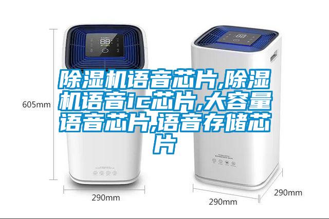 除湿机语音芯片,除湿机语音ic芯片,大容量语音芯片,语音存储芯片