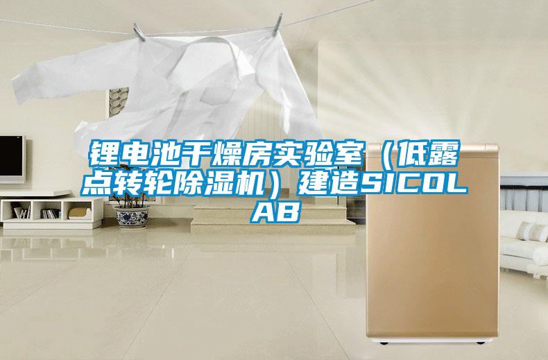 欧美黄色性爱视频网站 锂电池干燥房实验室（低露点转轮除湿机）建造SICOLAB