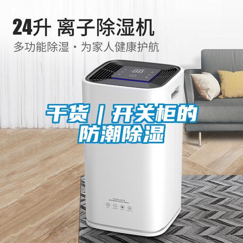 欧美黄色电影在线播放 干货︱开关柜的防潮除湿