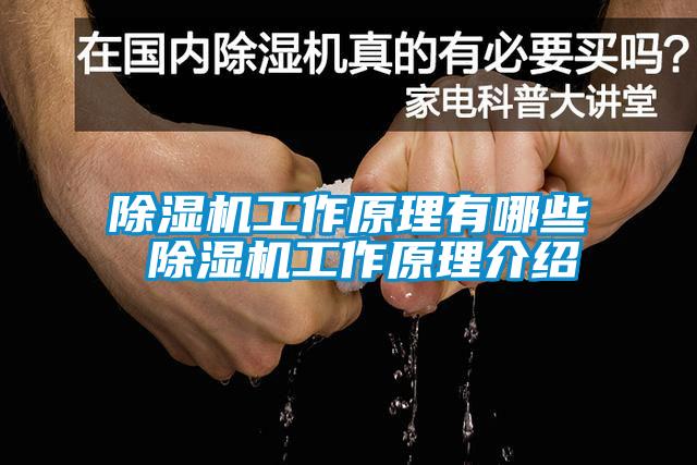 欧美黄色性爱视频网站 除湿机工作原理有哪些 除湿机工作原理介绍